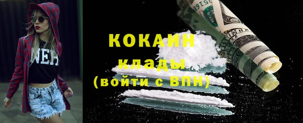 ГАЛЛЮЦИНОГЕННЫЕ ГРИБЫ Вязники