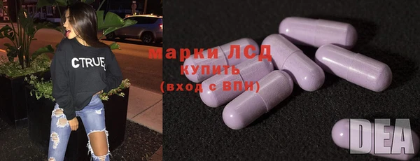 прущие грибы Вязьма