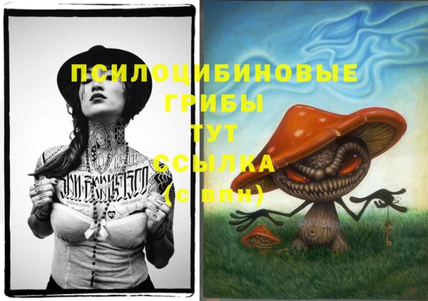 ГАЛЛЮЦИНОГЕННЫЕ ГРИБЫ Вязники