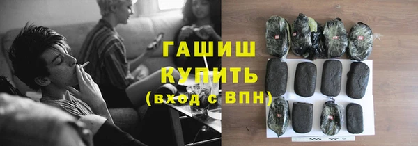 прущие грибы Вязьма