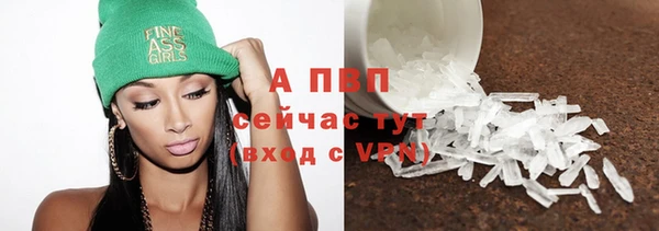 прущие грибы Вязьма