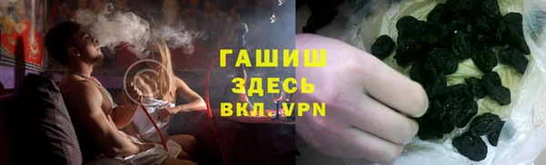 прущие грибы Вязьма