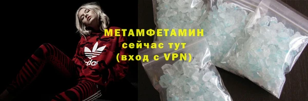 прущие грибы Вязьма