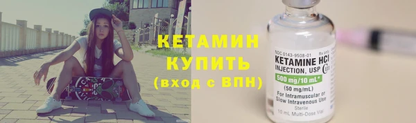 прущие грибы Вязьма