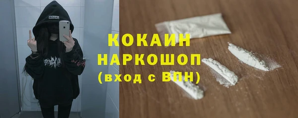 прущие грибы Вязьма