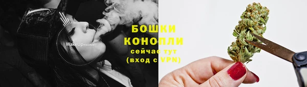тгк Вяземский