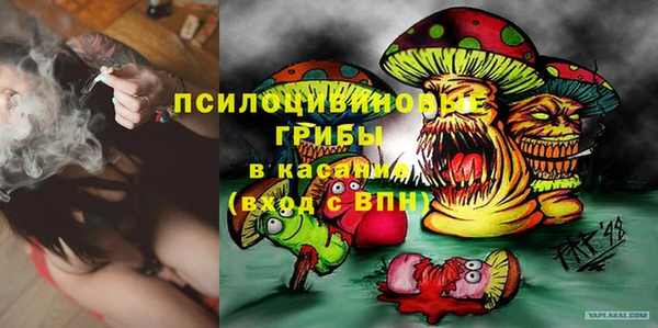 прущие грибы Вязьма