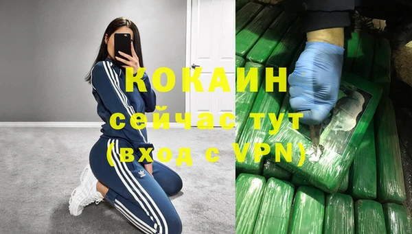тгк Вяземский