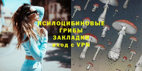 ГАЛЛЮЦИНОГЕННЫЕ ГРИБЫ Вязники