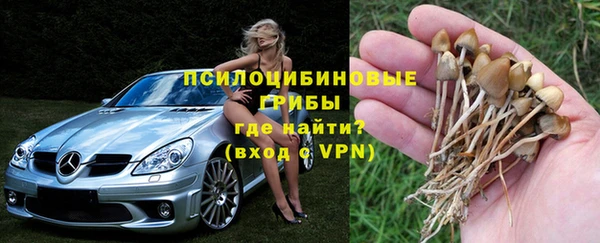 ГАЛЛЮЦИНОГЕННЫЕ ГРИБЫ Вязники