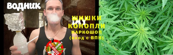 ГАЛЛЮЦИНОГЕННЫЕ ГРИБЫ Вязники