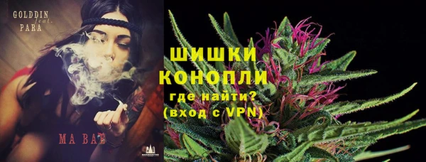 прущие грибы Вязьма