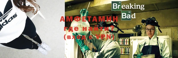 прущие грибы Вязьма