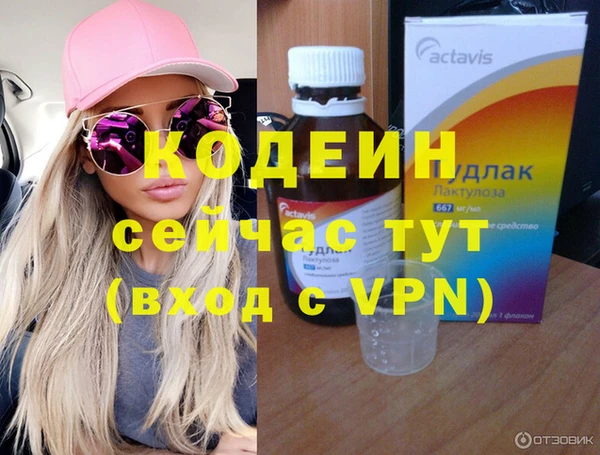 прущие грибы Вязьма