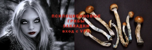 тгк Вяземский