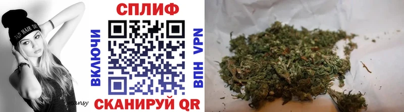 Купить  Суворов  Конопля марихуана 